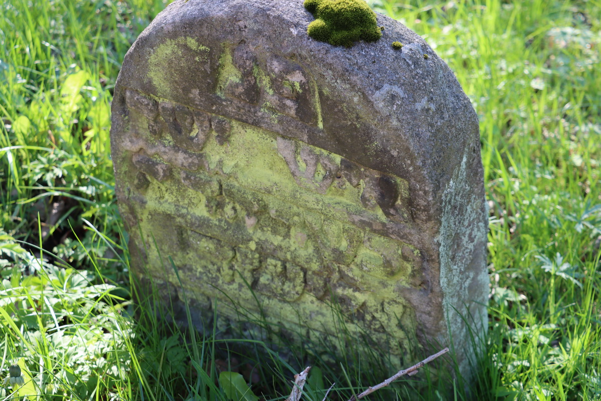 jewish cemeteries Nowy Wiśnicz