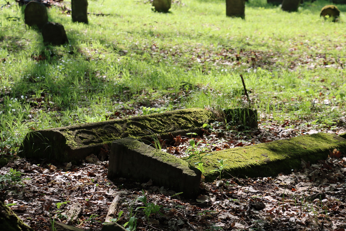 jewish cemeteries Nowy Wiśnicz