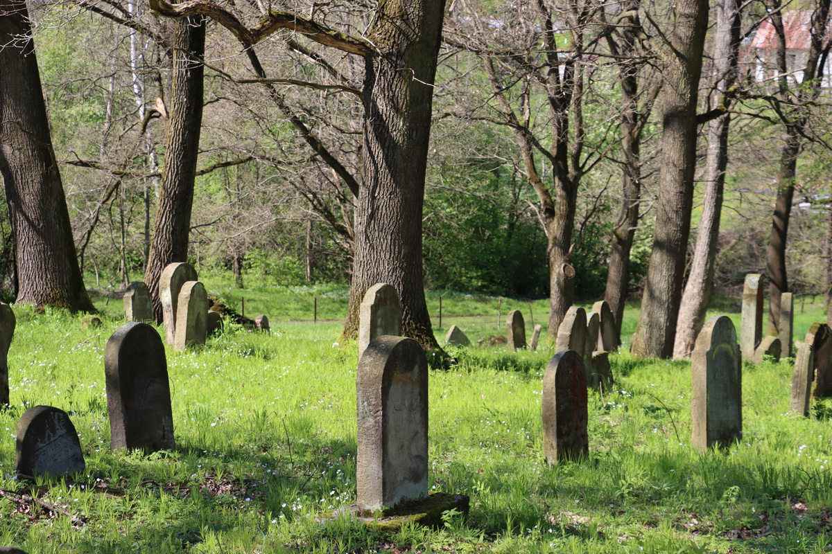 jewish cemeteries Nowy Wiśnicz