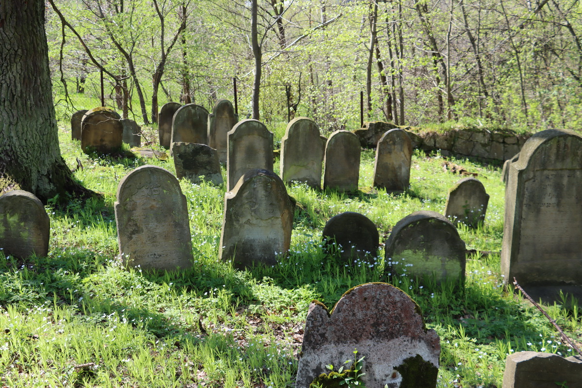jewish cemeteries Nowy Wiśnicz