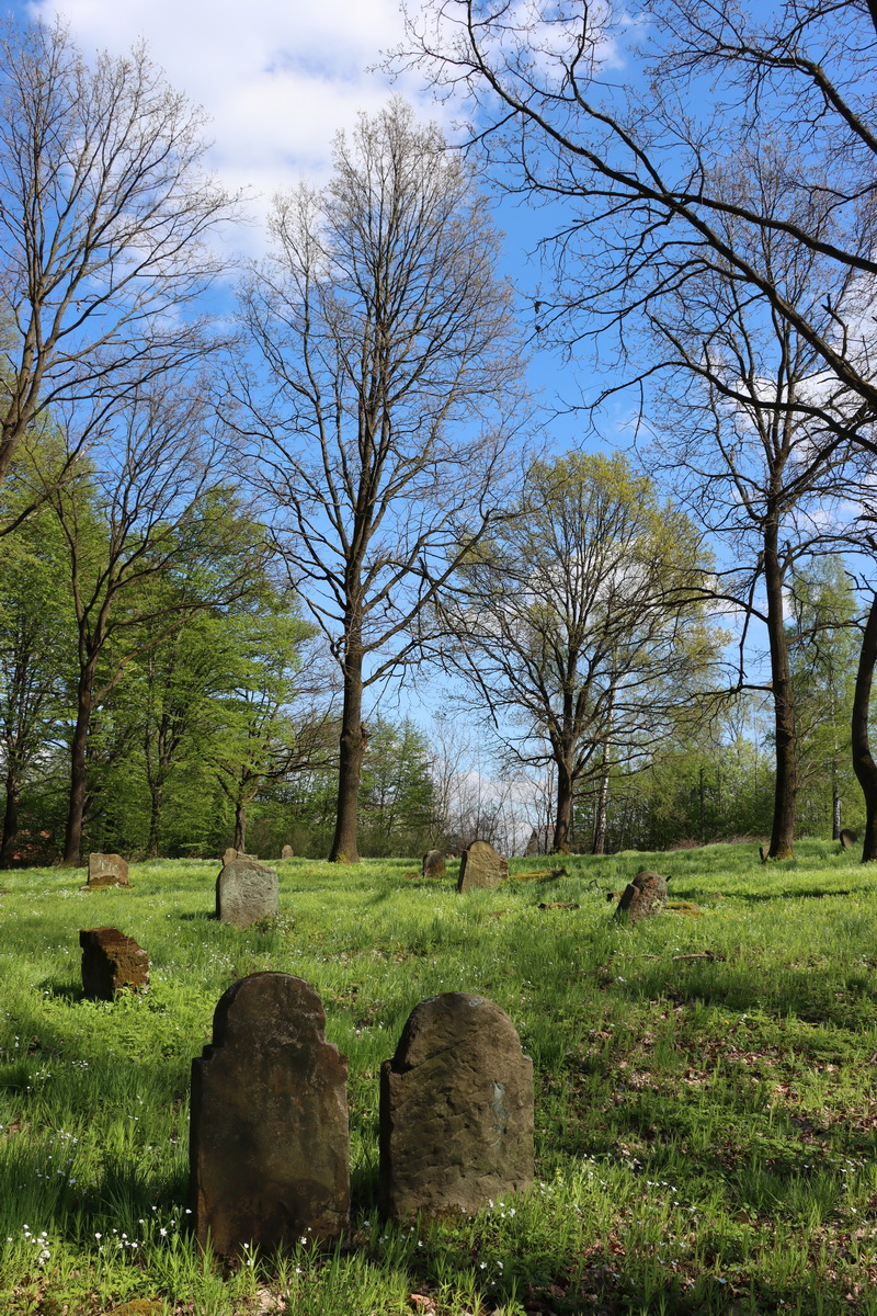 jewish cemeteries Nowy Wiśnicz