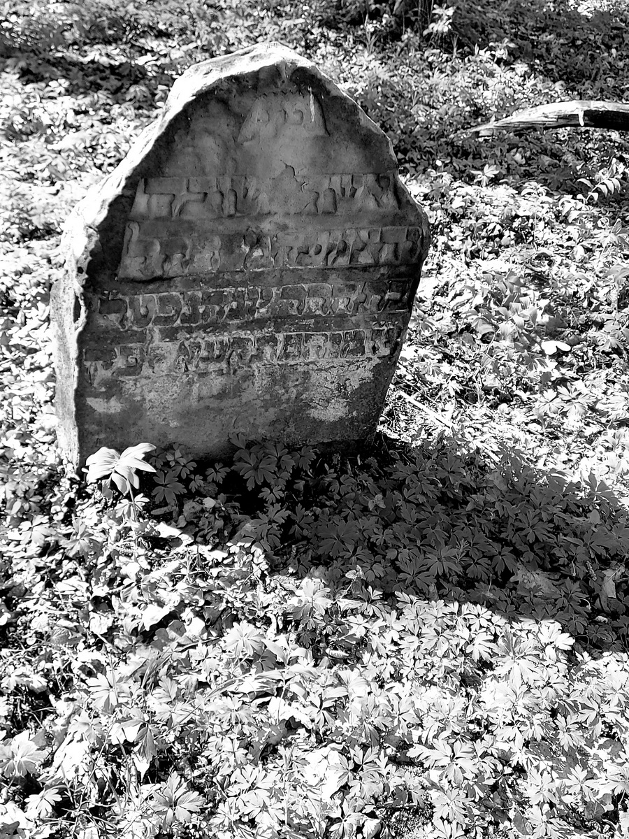 jewish cemeteries Nowy Wiśnicz