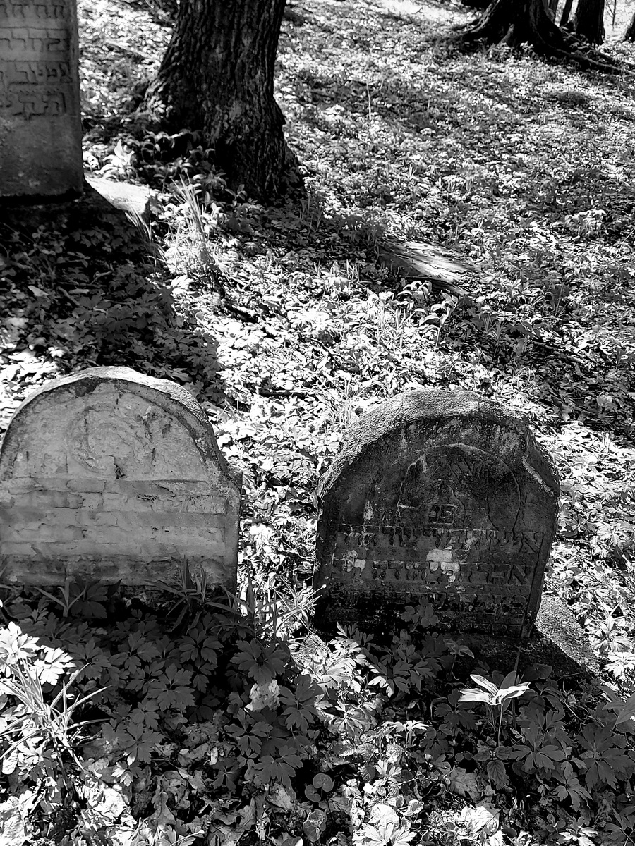 jewish cemeteries Nowy Wiśnicz