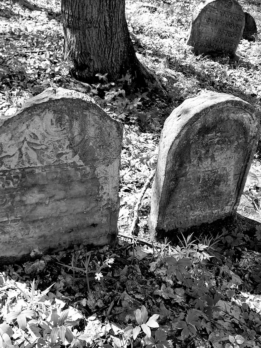 jewish cemeteries Nowy Wiśnicz