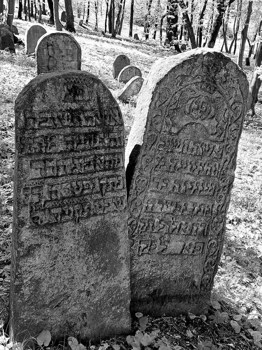 jewish cemeteries Nowy Wiśnicz